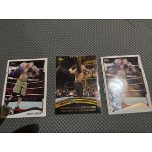 WWE Champion Topps 2014 Cards Lot